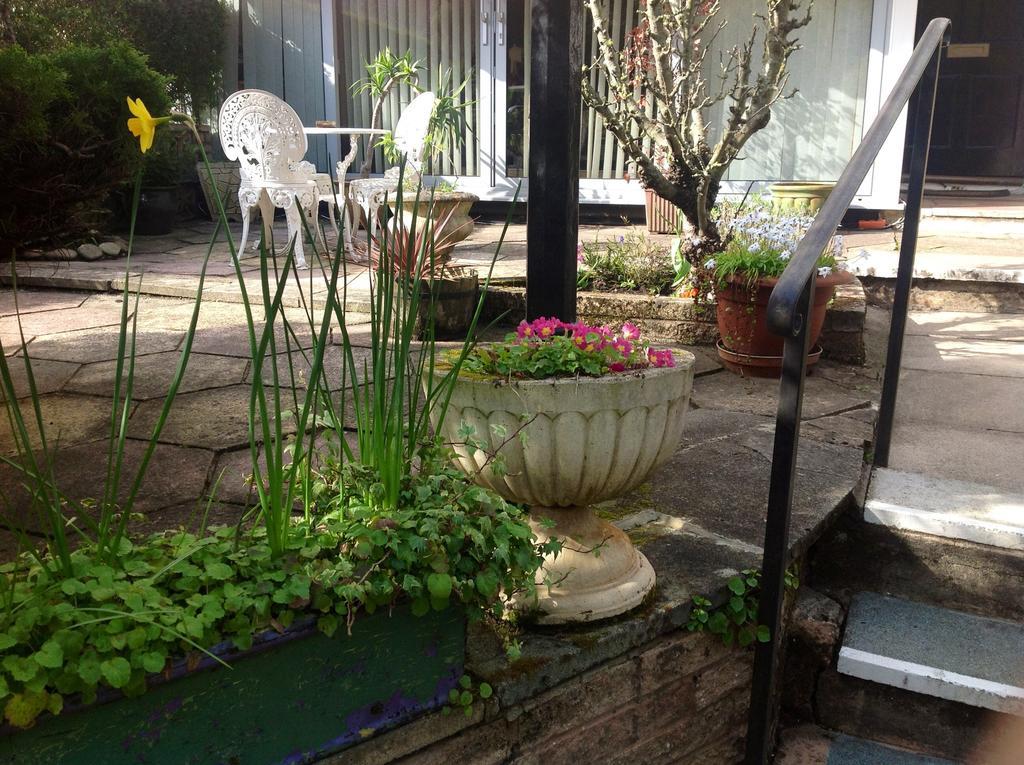 Braeside Guesthouse Exeter Exterior foto